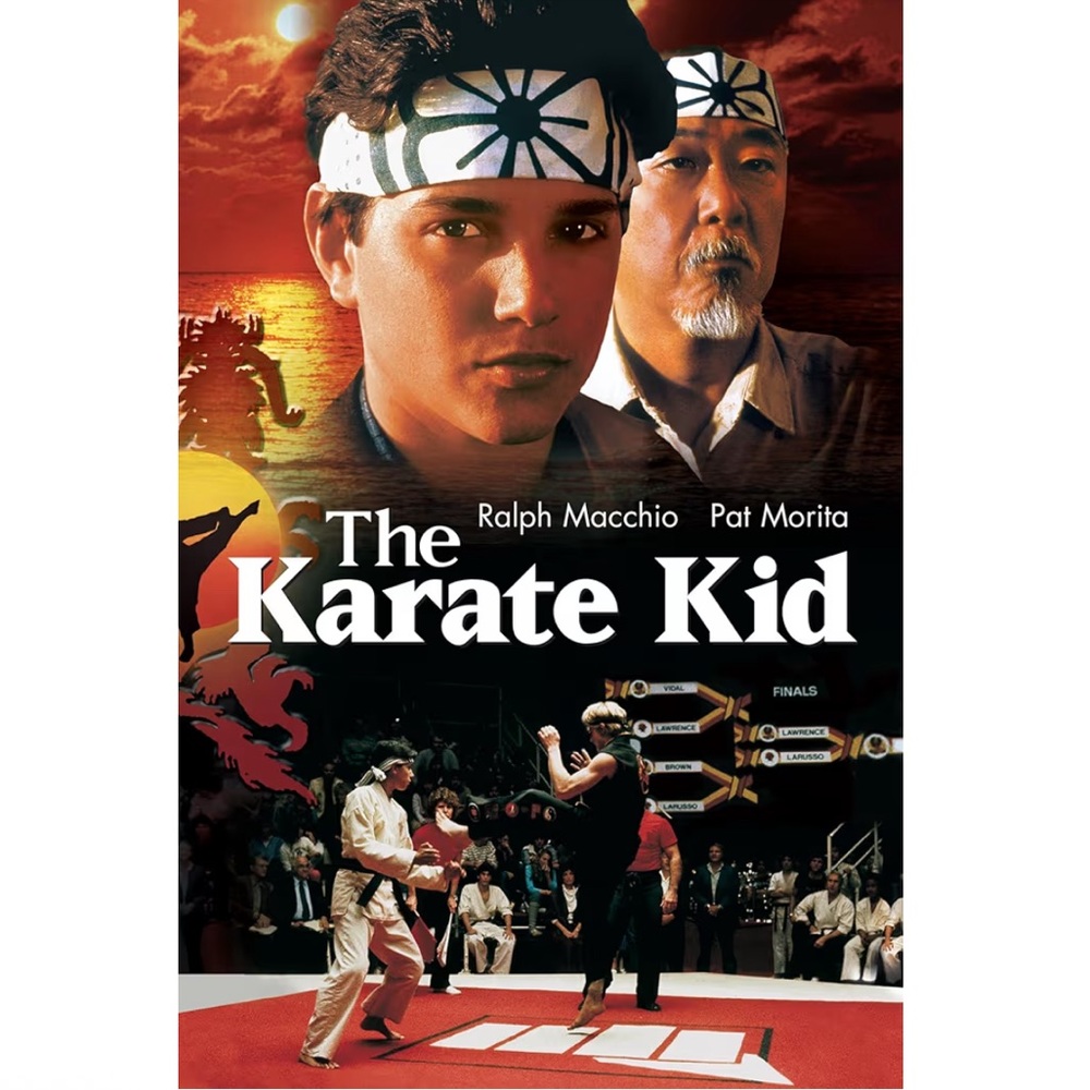 DVD Movie: The Karate Kid Special Edition